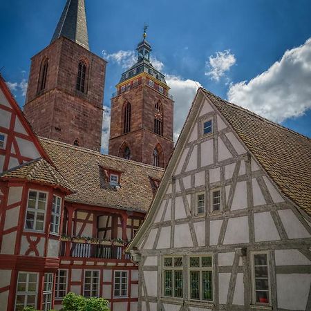 Neustadt an der Weinstraße Steinhaeuser Hof מראה חיצוני תמונה