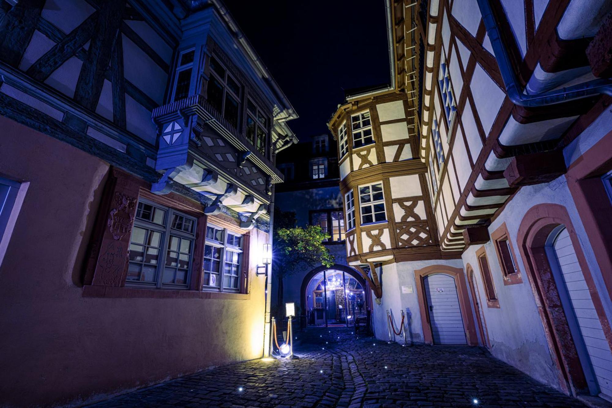 Neustadt an der Weinstraße Steinhaeuser Hof מראה חיצוני תמונה